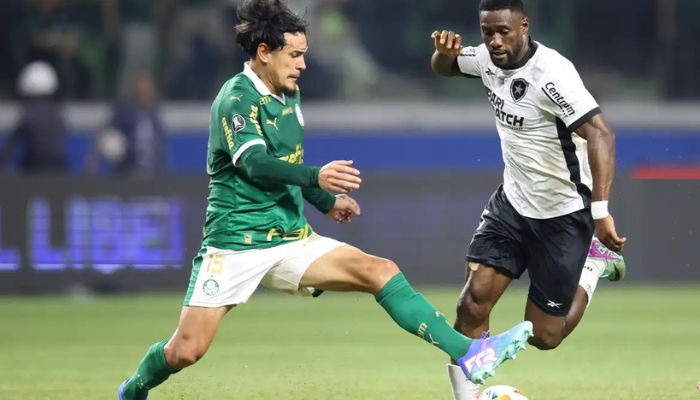  Palmeiras e Botafogo jogam por liderança do Campeonato Brasileiro 